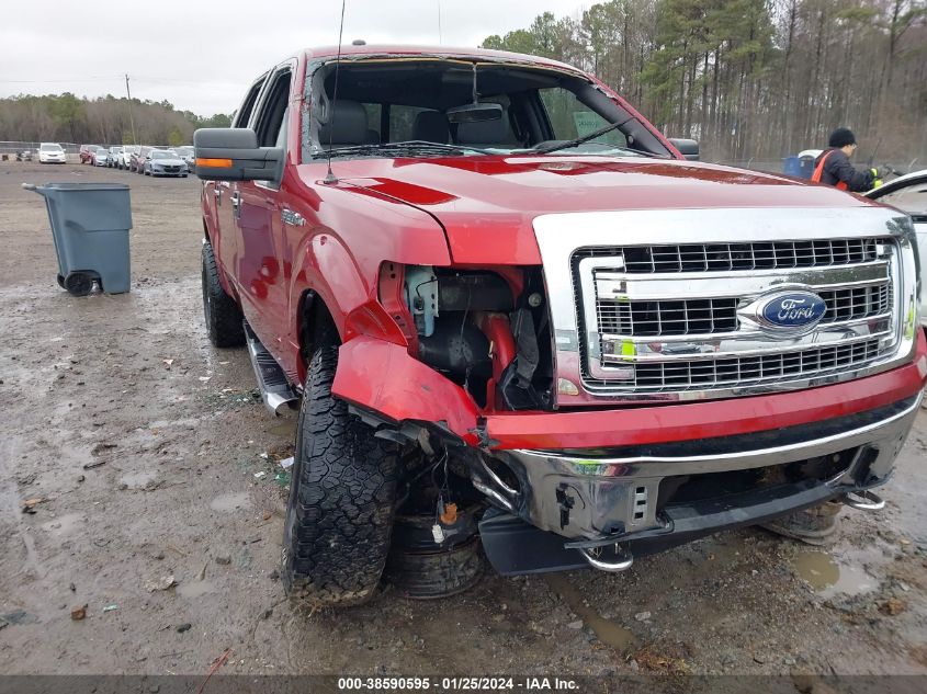 2014 FORD F-150 XLT - 1FTFW1EF7EFC25709