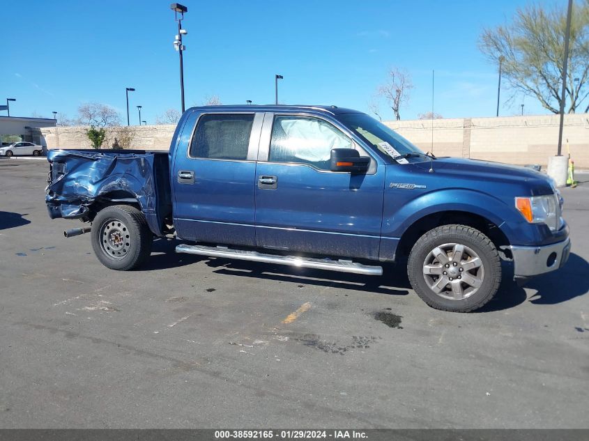 2013 FORD F-150 XLT - 1FTFW1CF3DFC43030