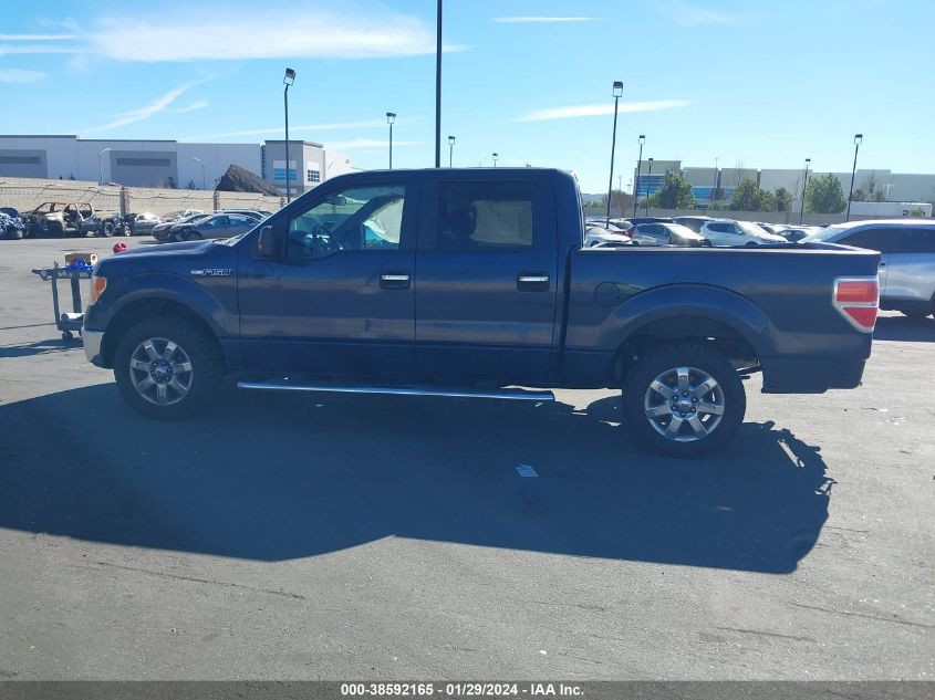 2013 FORD F-150 XLT - 1FTFW1CF3DFC43030