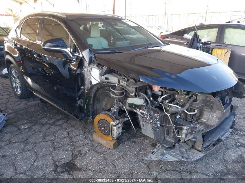 2019 LEXUS NX 300 300 BASE/300 F-SPORT - JTJYARBZXK2155336