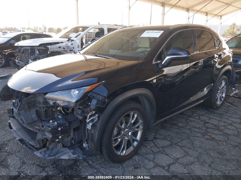 2019 LEXUS NX 300 300 BASE/300 F-SPORT - JTJYARBZXK2155336