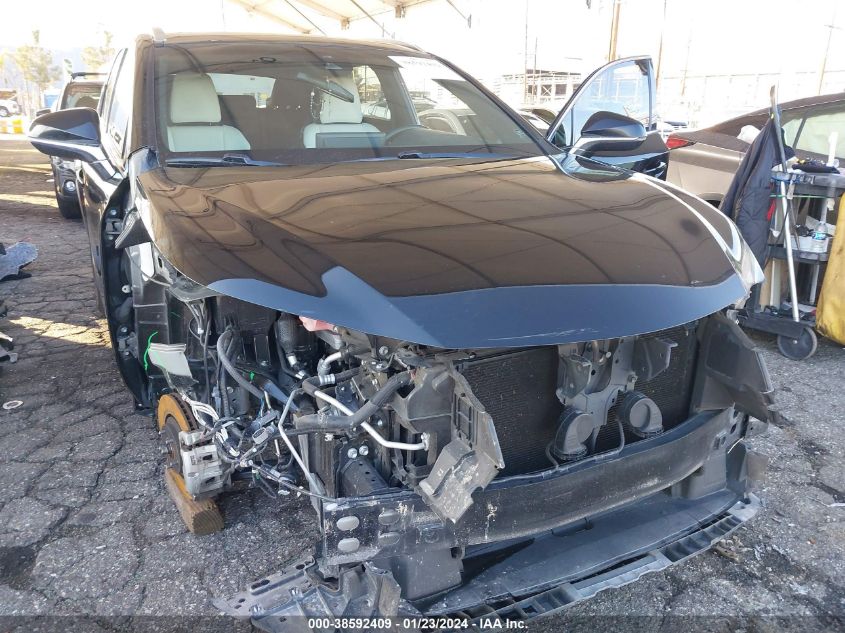 2019 LEXUS NX 300 300 BASE/300 F-SPORT - JTJYARBZXK2155336