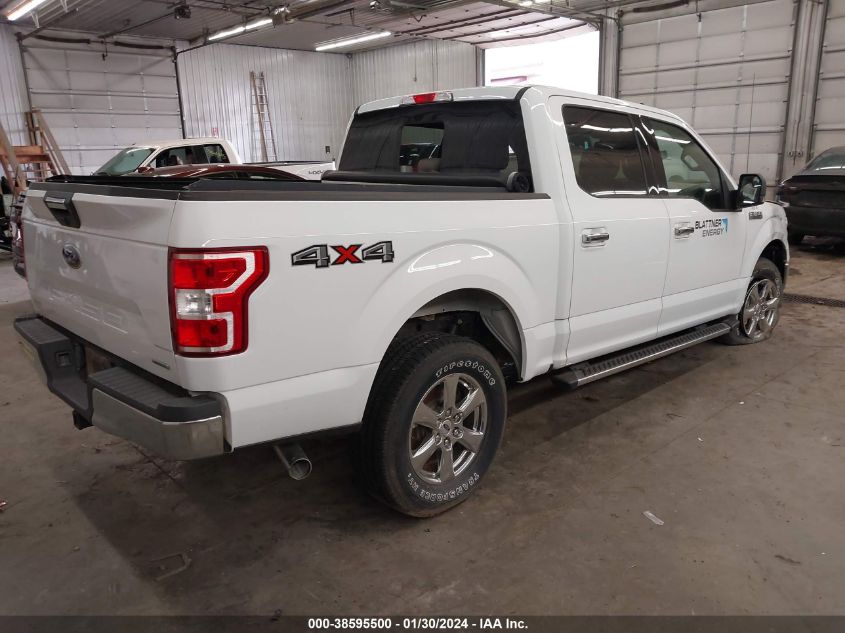 2019 FORD F-150 XLT - 1FTEW1E45KFA82670