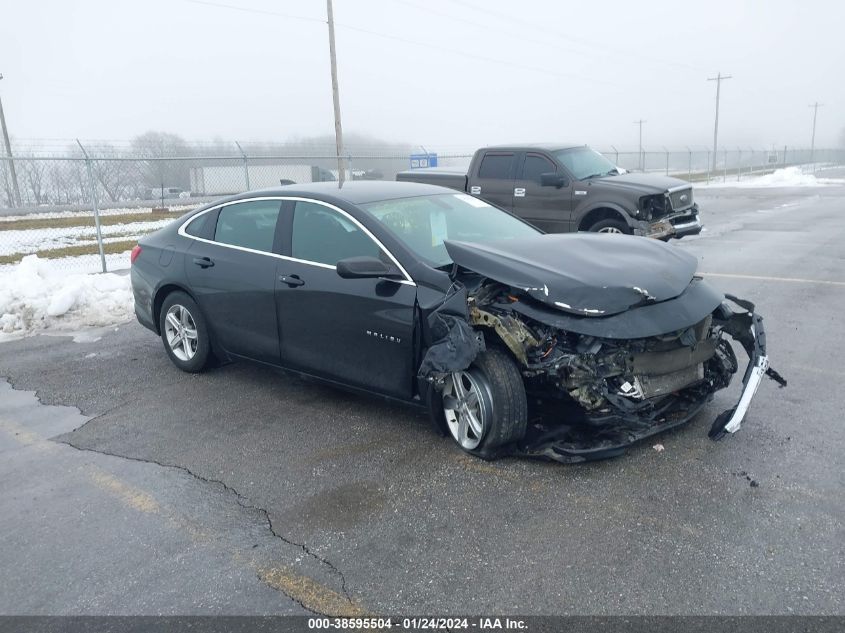2019 CHEVROLET MALIBU 1FL - 1G1ZC5ST4KF180319