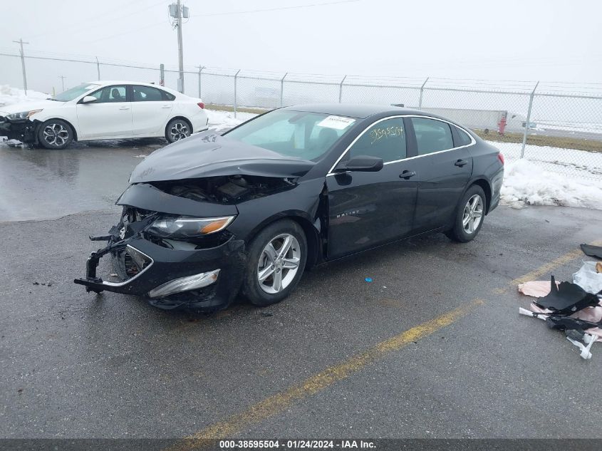2019 CHEVROLET MALIBU 1FL - 1G1ZC5ST4KF180319