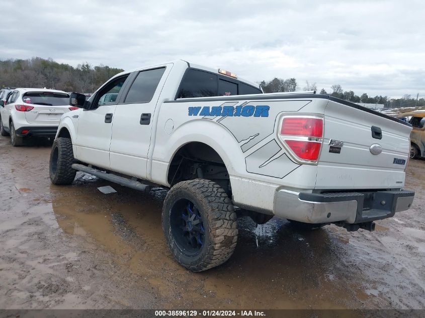 2013 FORD F-150 XLT - 1FTFW1EF7DKF99887