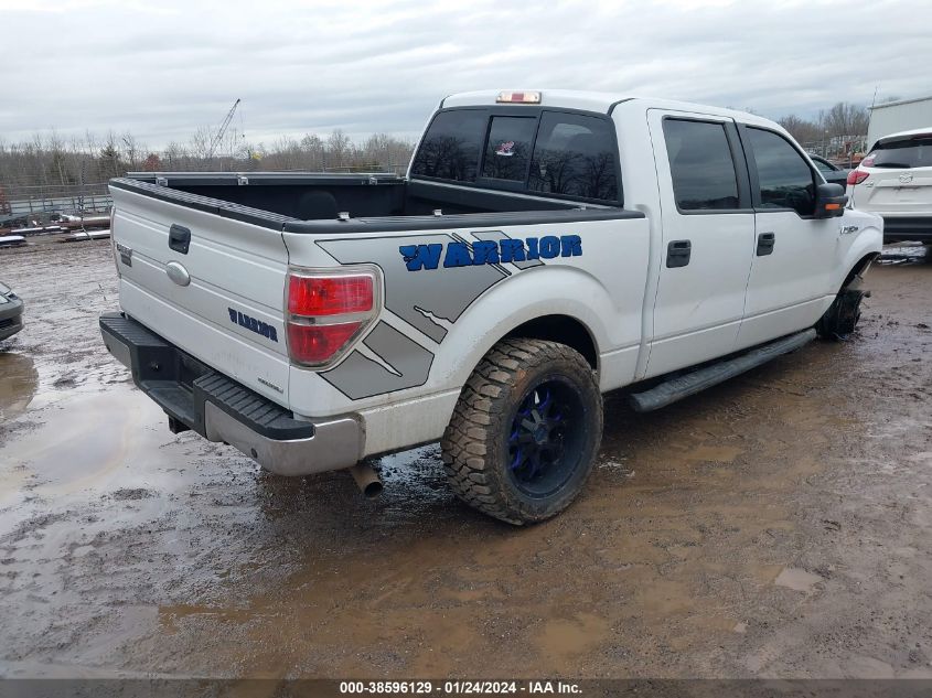2013 FORD F-150 XLT - 1FTFW1EF7DKF99887