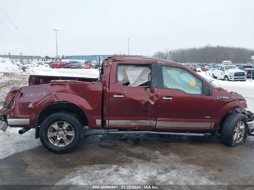 2015 FORD F-150 XLT - 1FTEW1EP9FKD80789