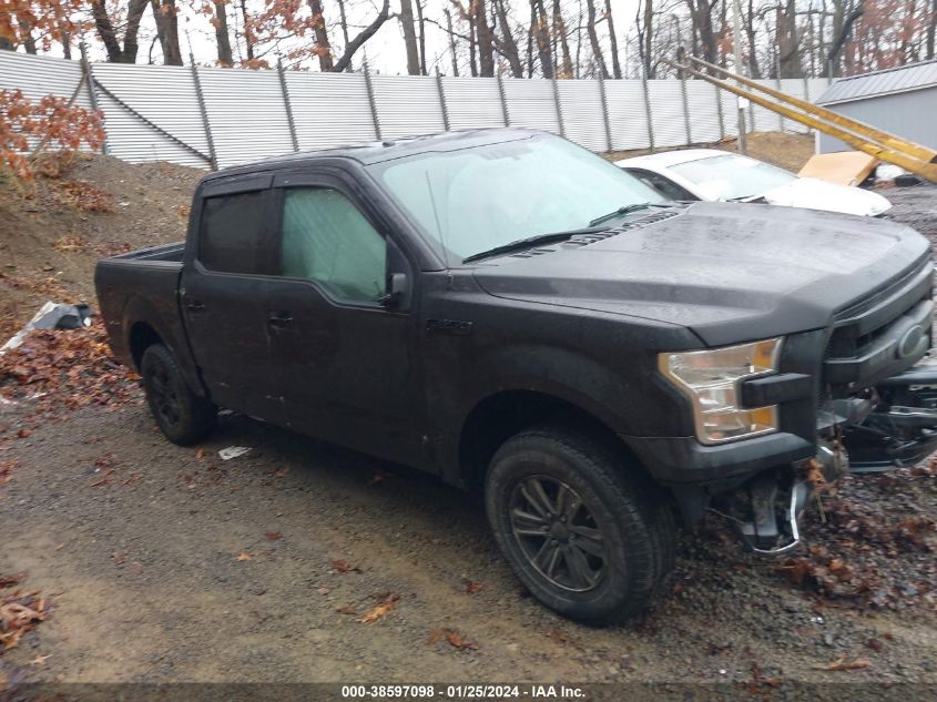 2015 FORD F-150 XLT - 1FTEW1E83FFB92691