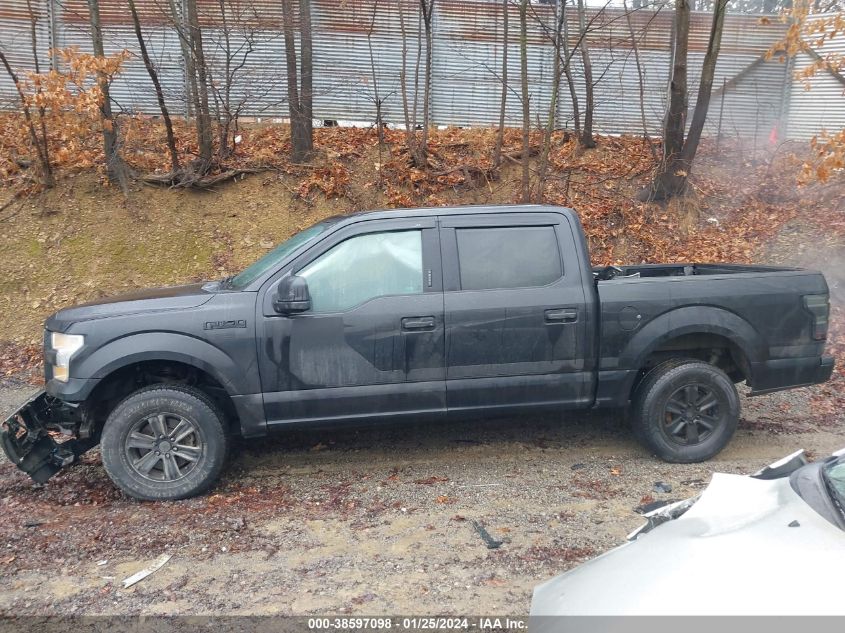 2015 FORD F-150 XLT - 1FTEW1E83FFB92691