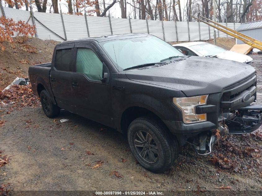 2015 FORD F-150 XLT - 1FTEW1E83FFB92691