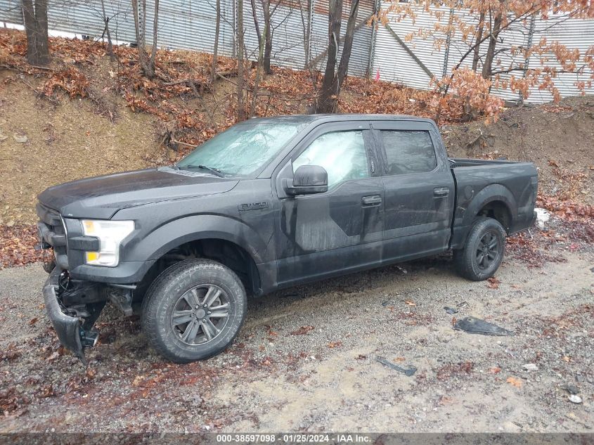 2015 FORD F-150 XLT - 1FTEW1E83FFB92691