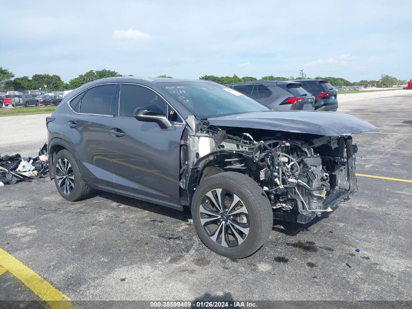 2019 LEXUS NX 300 - JTJBARBZ0K2212357