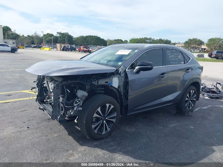 2019 LEXUS NX 300 - JTJBARBZ0K2212357