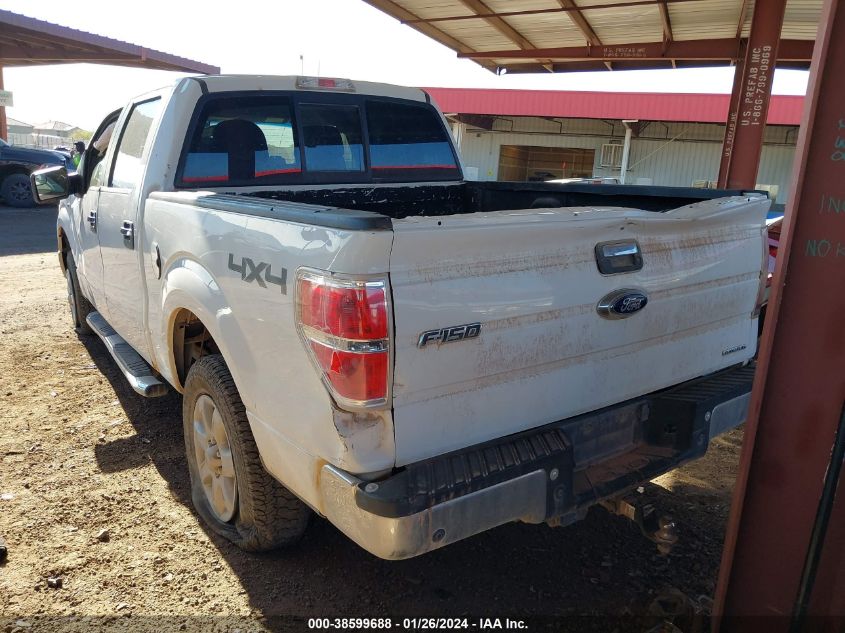 2014 FORD F-150 XLT - 1FTFW1EF4EFB26684