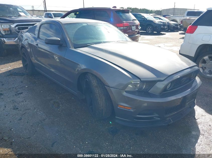 2013 FORD MUSTANG - 1ZVBP8AM8D5281992