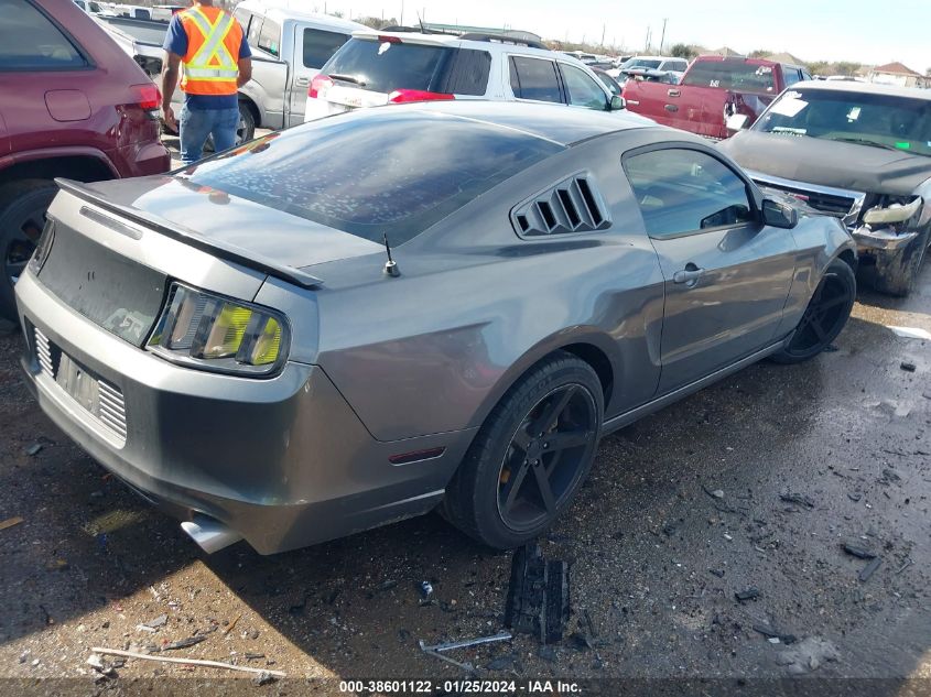 2013 FORD MUSTANG - 1ZVBP8AM8D5281992