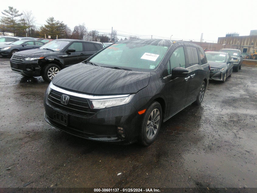 VIN 5FNRL6H75NB032504 2022 HONDA ODYSSEY EXL