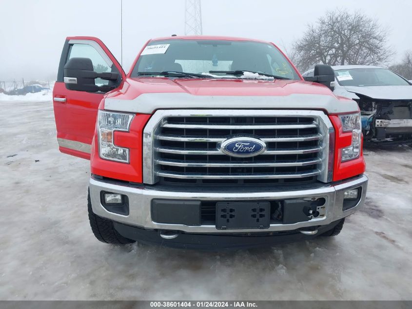 2015 FORD F-150 XLT - 1FTFW1EG1FFB10050