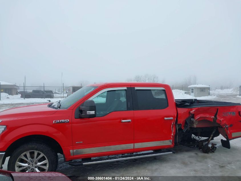 2015 FORD F-150 XLT - 1FTFW1EG1FFB10050