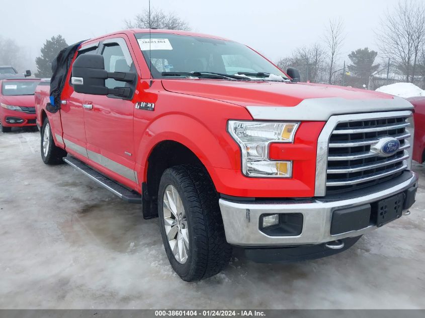 2015 FORD F-150 XLT - 1FTFW1EG1FFB10050