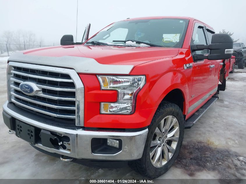 2015 FORD F-150 XLT - 1FTFW1EG1FFB10050