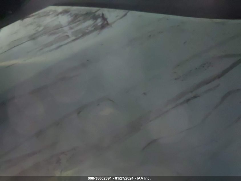 2022 TESLA MODEL Y - 7SAYGDEE7NF440965