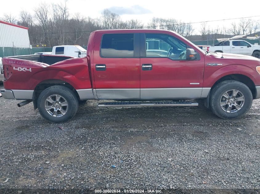 2013 FORD F-150 XLT - 1FTFW1ET0DFA51907