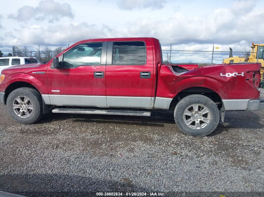 2013 FORD F-150 XLT - 1FTFW1ET0DFA51907