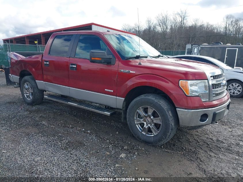 2013 FORD F-150 XLT - 1FTFW1ET0DFA51907