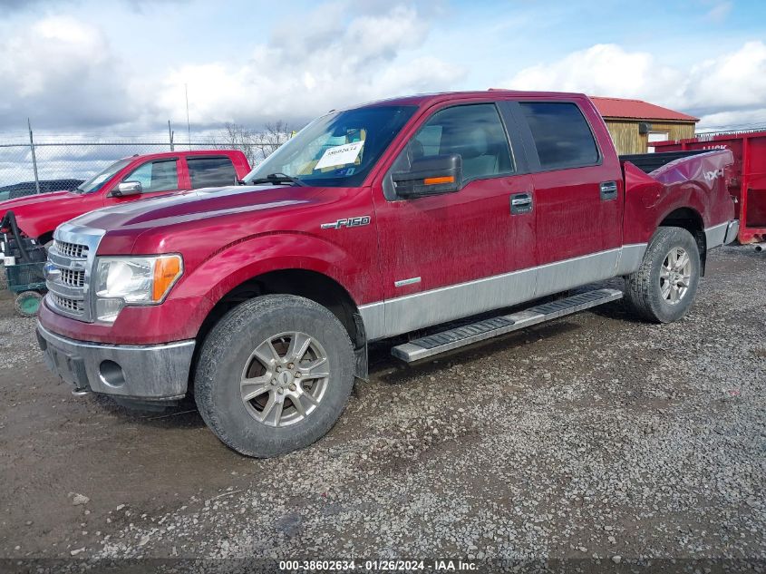 2013 FORD F-150 XLT - 1FTFW1ET0DFA51907