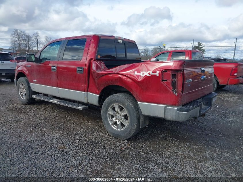 2013 FORD F-150 XLT - 1FTFW1ET0DFA51907