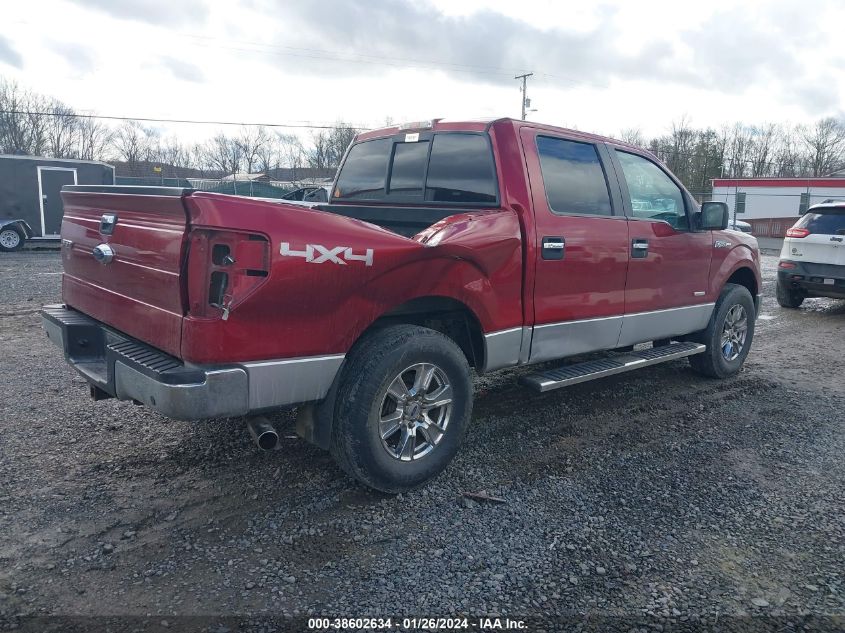 2013 FORD F-150 XLT - 1FTFW1ET0DFA51907