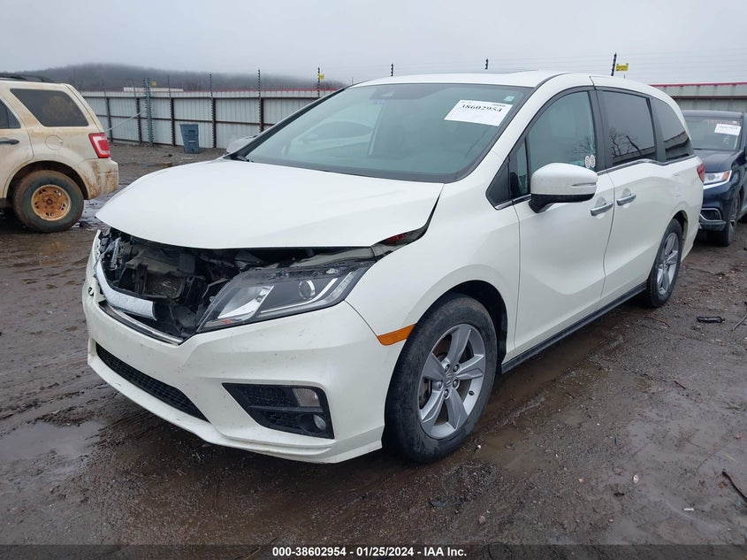 VIN 5FNRL6H76KB038095 2019 HONDA ODYSSEY EXL