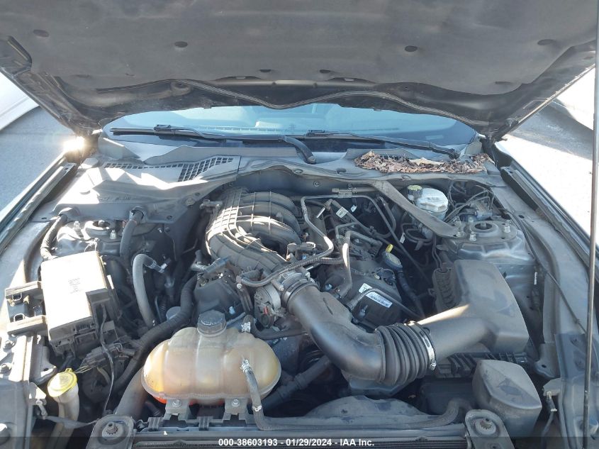 2015 FORD MUSTANG V6 - 1FATP8EM6F5356280