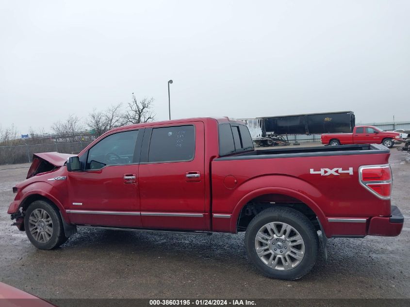 2013 FORD F-150 PLATINUM - 1FTFW1ET0DFD82213