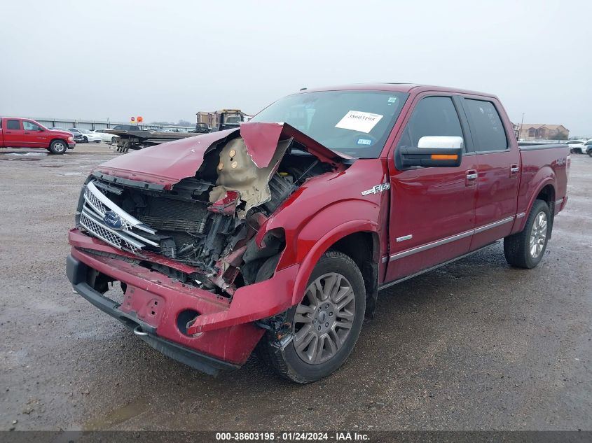 2013 FORD F-150 PLATINUM - 1FTFW1ET0DFD82213