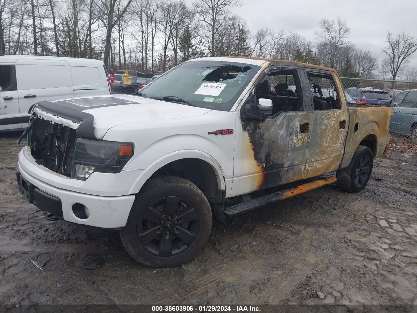 2014 FORD F-150 FX4 - 1FTFW1EF1EFC56227