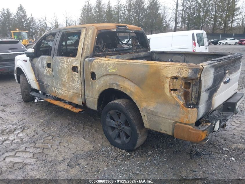 2014 FORD F-150 FX4 - 1FTFW1EF1EFC56227