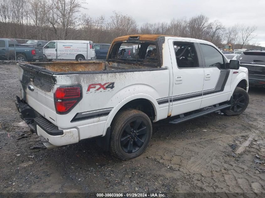 2014 FORD F-150 FX4 - 1FTFW1EF1EFC56227