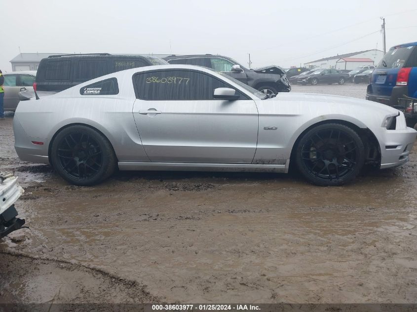 2014 FORD MUSTANG GT - 1ZVBP8CF1E5318512