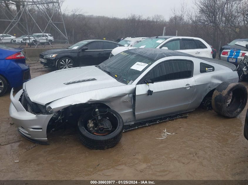 2014 FORD MUSTANG GT - 1ZVBP8CF1E5318512