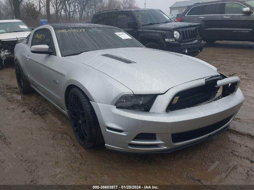 2014 FORD MUSTANG GT - 1ZVBP8CF1E5318512