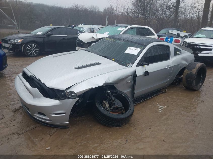 2014 FORD MUSTANG GT - 1ZVBP8CF1E5318512