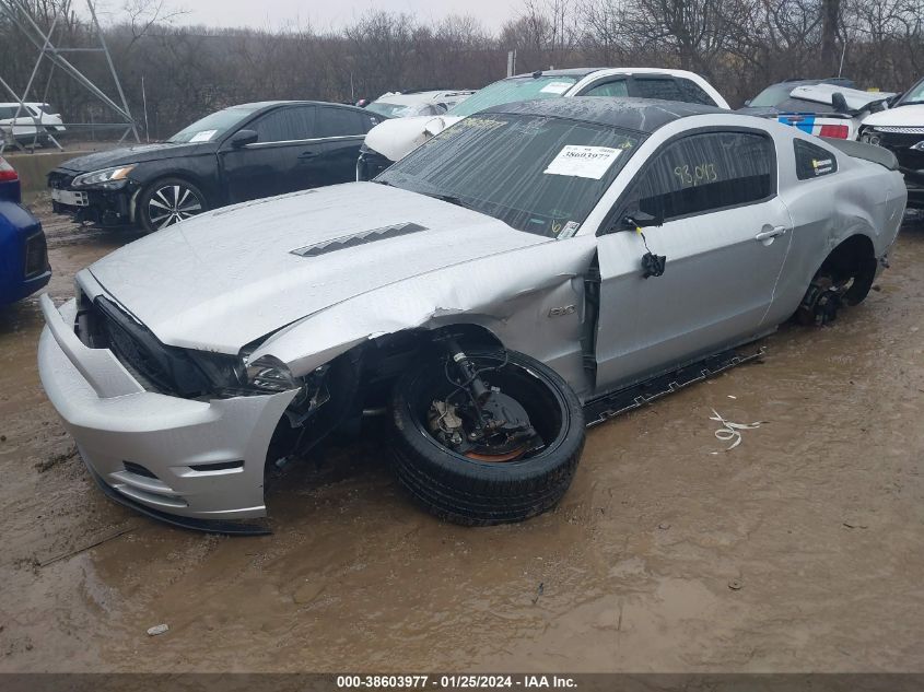 2014 FORD MUSTANG GT - 1ZVBP8CF1E5318512