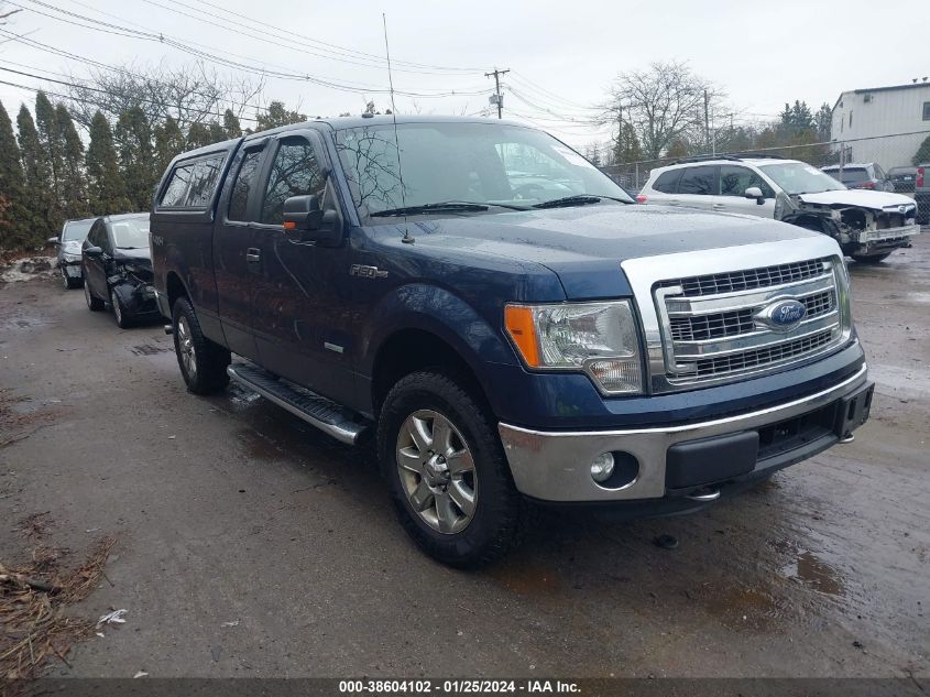 2014 FORD F-150 XLT - 1FTFX1ET2EFB40361