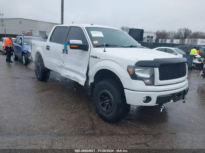 2014 FORD F-150 XLT - 1FTFW1EF5EKD00429