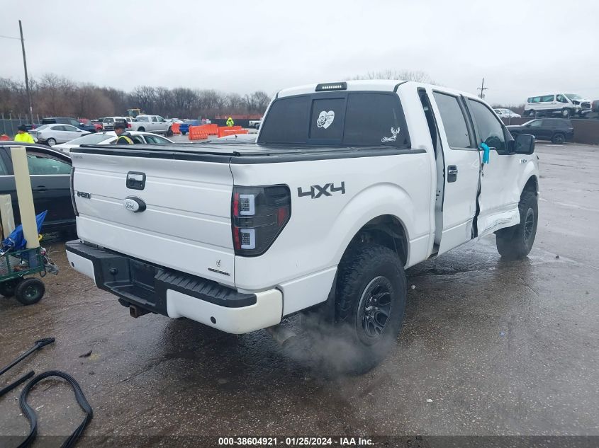 2014 FORD F-150 XLT - 1FTFW1EF5EKD00429