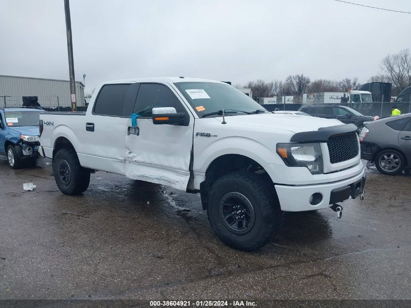 2014 FORD F-150 XLT - 1FTFW1EF5EKD00429