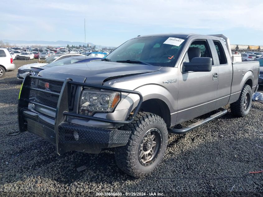 2013 FORD F-150 STX - 1FTFX1EF3DFB53659